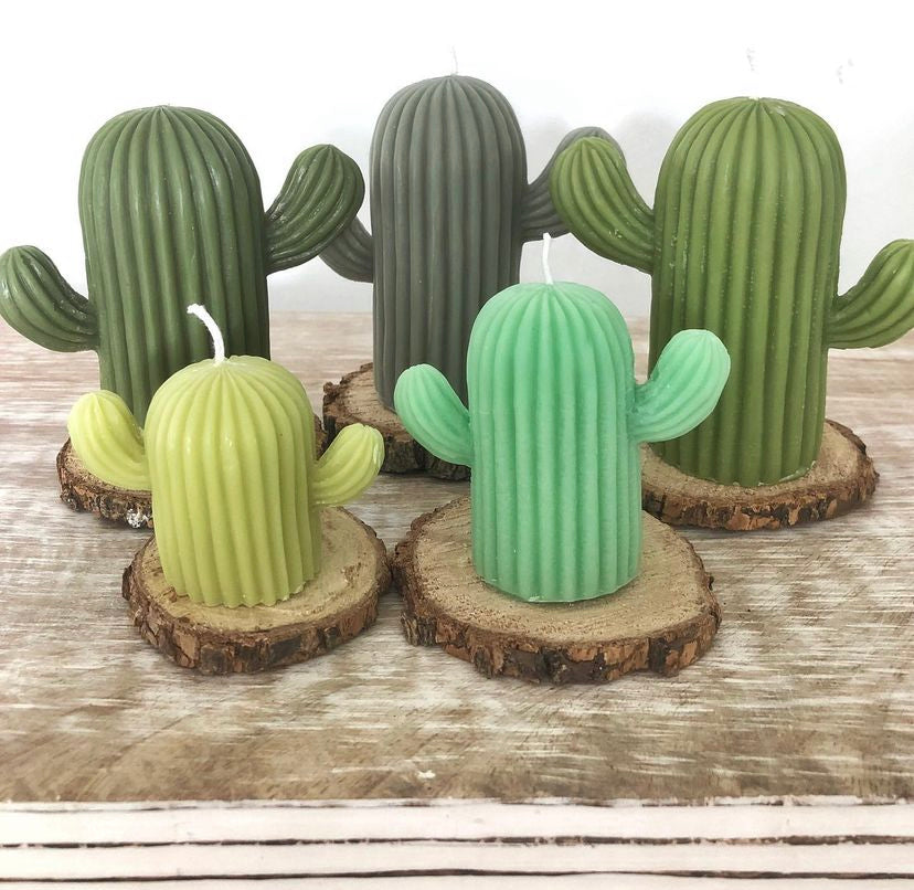 Cactus Candles